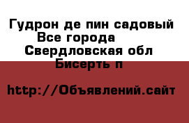 Гудрон де пин садовый - Все города  »    . Свердловская обл.,Бисерть п.